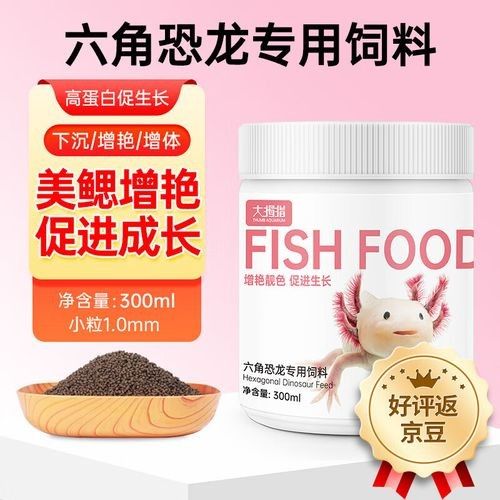 哪種恐龍魚飼料性價比最高：六角恐龍魚飼料性價比分析及推薦