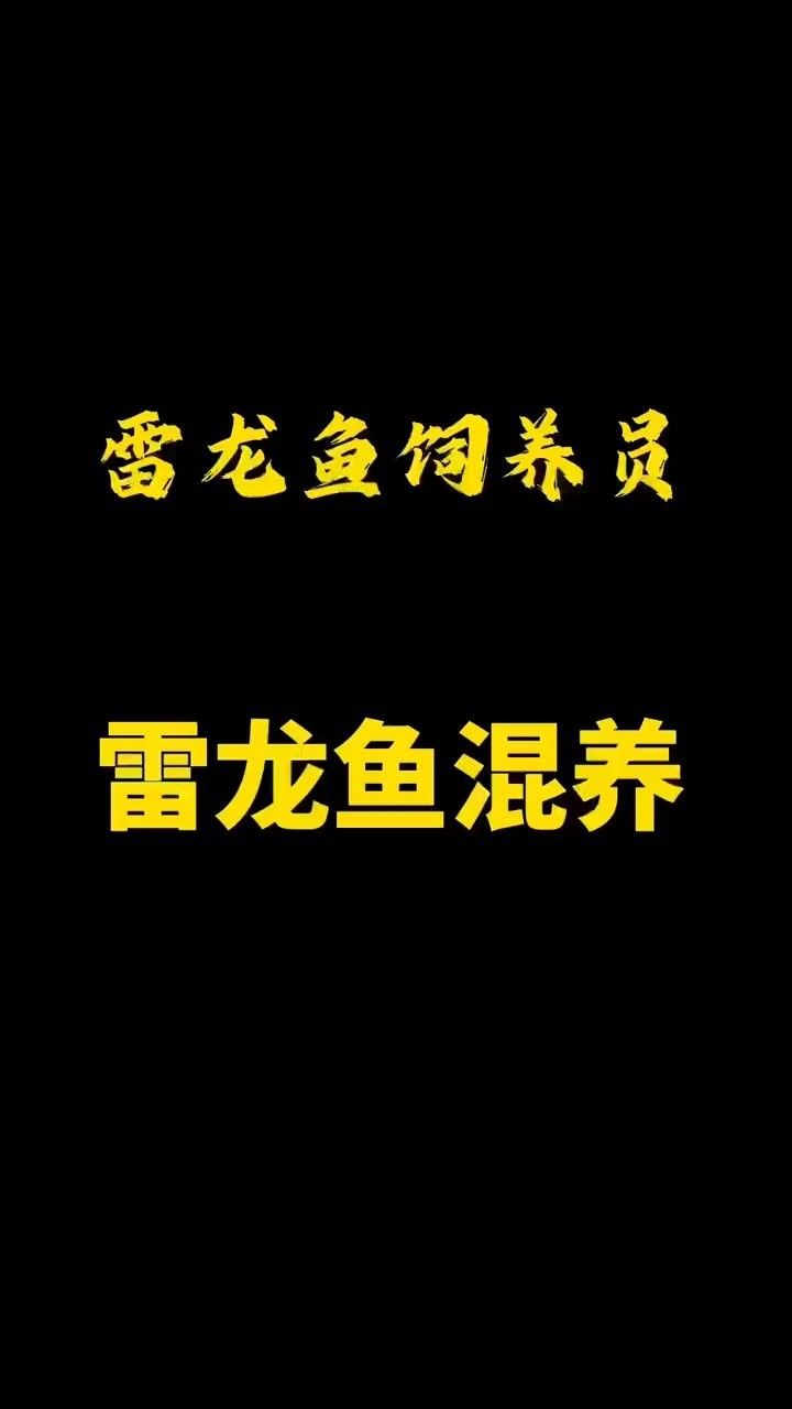 雷龍魚和烏魚能混養嗎：雷龍魚和烏魚可以混養嗎 雷龍魚和烏魚能混養嗎：雷龍魚和烏魚可以混養嗎 龍魚百科 第8張