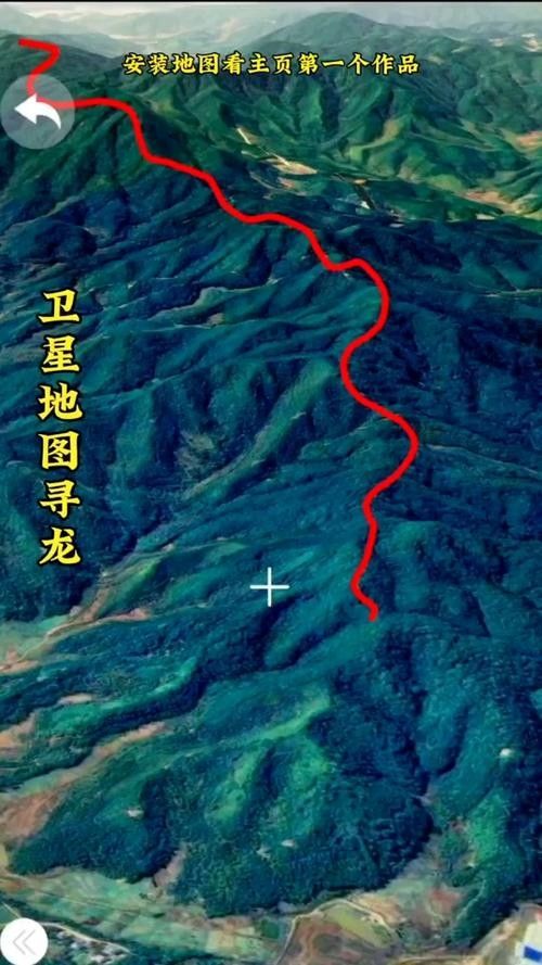 不同產(chǎn)地的金龍魚有何區(qū)別：不同產(chǎn)地的金龍魚在體型、顏色以及行為習(xí)性上可能會(huì)有所差異