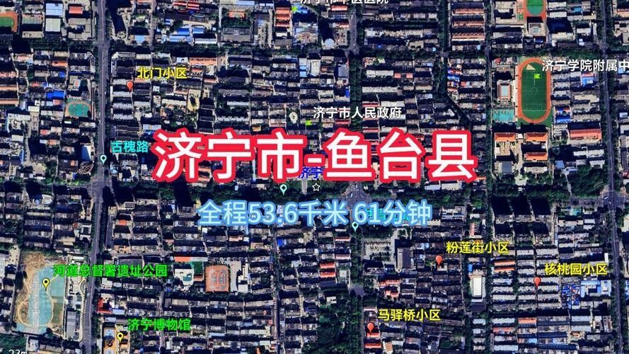 不同產(chǎn)地的金龍魚有何區(qū)別：不同產(chǎn)地的金龍魚在體型、顏色以及行為習(xí)性上可能會(huì)有所差異