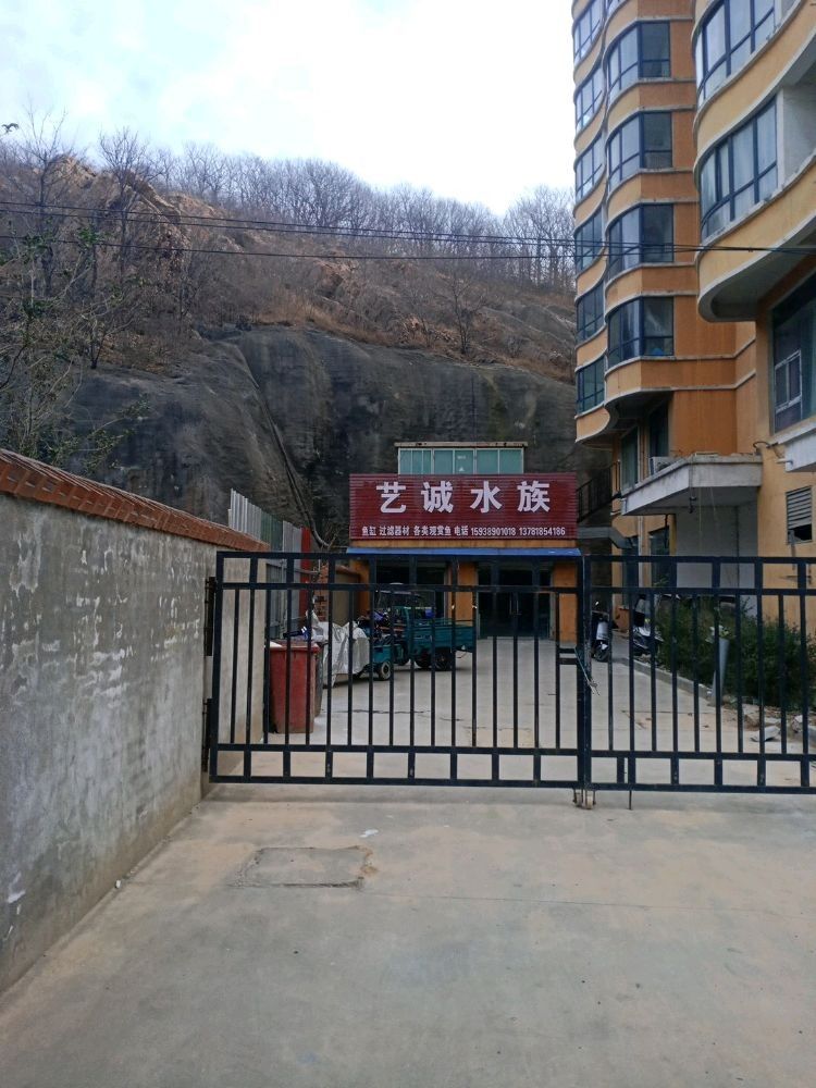 舞鋼哪個水族館龍魚好？祥龍魚場龍魚：舞鋼哪個水族館龍魚好