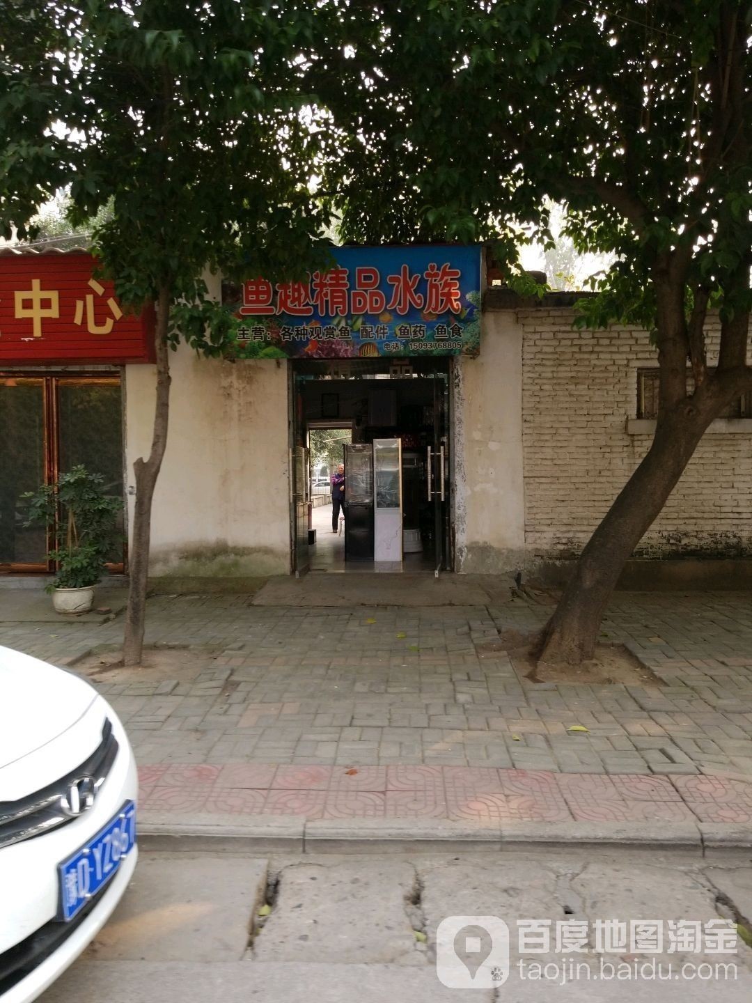 舞鋼哪個水族館龍魚好？祥龍魚場龍魚：舞鋼哪個水族館龍魚好