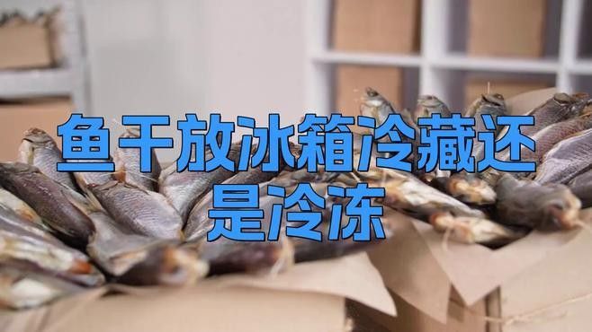 海龍魚干制品如何保存：海龍魚干制品的保存方法