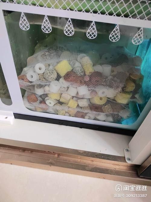 哪種類型的龍魚缸濾材最好:如何選擇適合龍魚的濾材 龍魚百科 第1張 哪種類型的龍魚缸濾材最好:如何選擇適合龍魚的濾材 哪種類型的龍魚缸濾材最好:如何選擇適合龍魚的濾材 龍魚百科 第1張