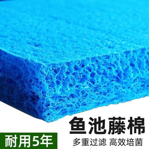 哪種類型的龍魚缸濾材最好：如何選擇適合龍魚的濾材 哪種類型的龍魚缸濾材最好：如何選擇適合龍魚的濾材 龍魚百科 第9張