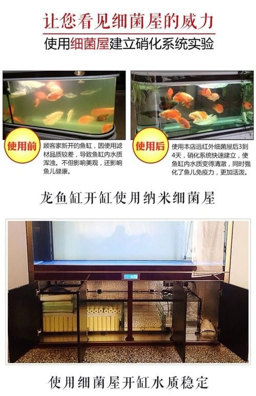 哪種類型的龍魚缸濾材最好:如何選擇適合龍魚的濾材 龍魚百科 第6張 哪種類型的龍魚缸濾材最好:如何選擇適合龍魚的濾材 哪種類型的龍魚缸濾材最好:如何選擇適合龍魚的濾材 龍魚百科 第6張