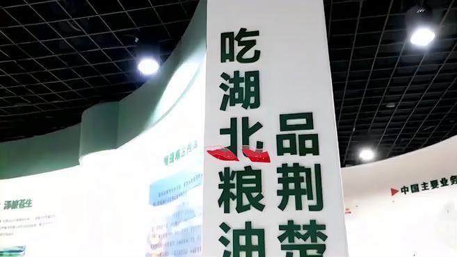 金龍魚智能溯源技術如何運作：金龍魚智能溯源技術