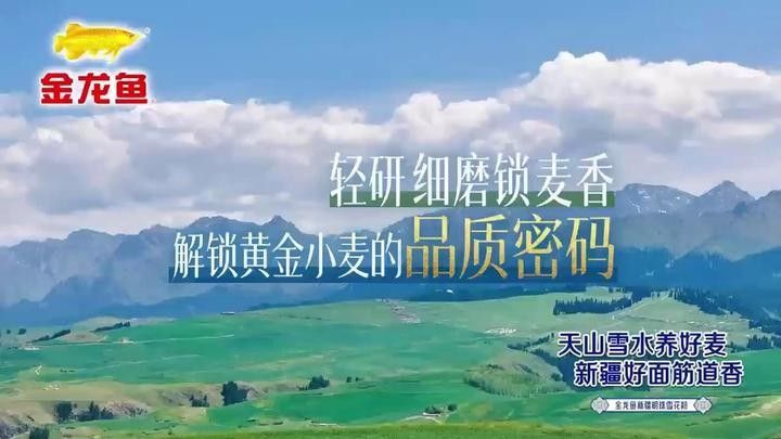 金龍魚智能溯源技術如何運作：金龍魚智能溯源技術