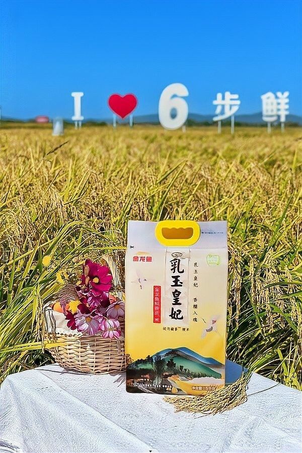 金龍魚智能溯源技術如何運作：金龍魚智能溯源技術