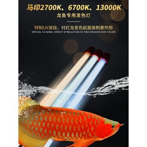 馬印發色燈有哪些顏色可選：馬印發色燈的價格范圍