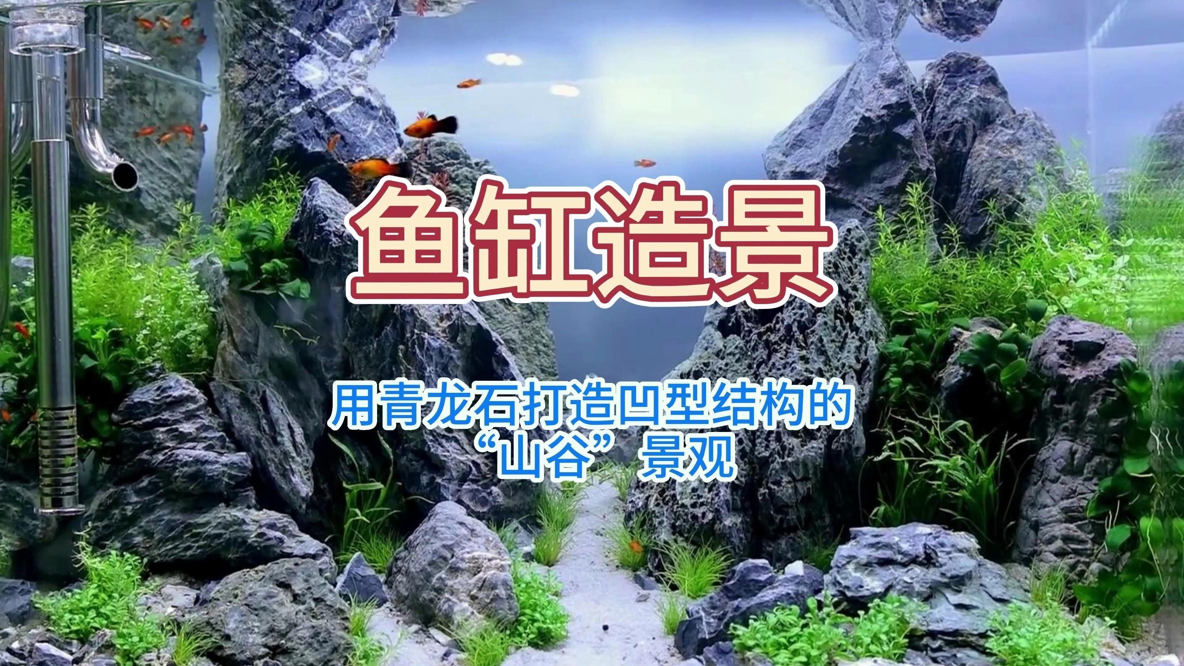 龍魚缸石頭造景需要哪些步驟：龍魚缸石頭造景步驟