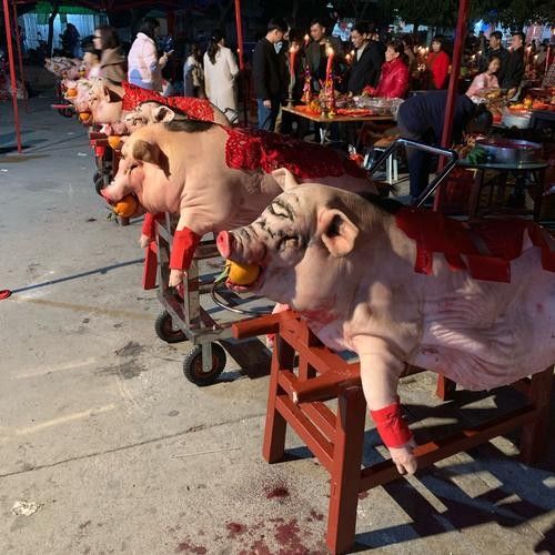 能提供幾張潮汕龍魚拜神圖片嗎：潮汕龍魚拜神 能提供幾張潮汕龍魚拜神圖片嗎：潮汕龍魚拜神 龍魚百科 第18張