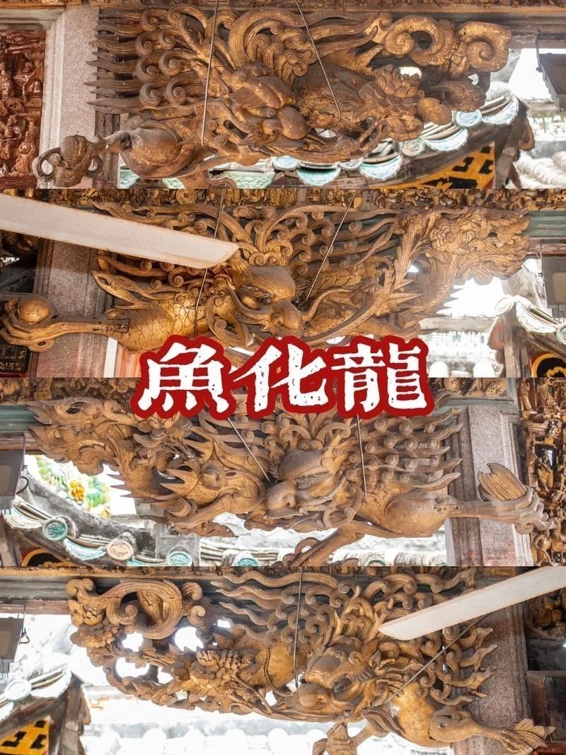 能提供幾張潮汕龍魚拜神圖片嗎：潮汕龍魚拜神 能提供幾張潮汕龍魚拜神圖片嗎：潮汕龍魚拜神 龍魚百科 第25張