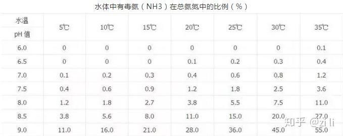 龍魚糞便對泰國鯽魚有害嗎：魚糞便對泰國鯽魚的影響
