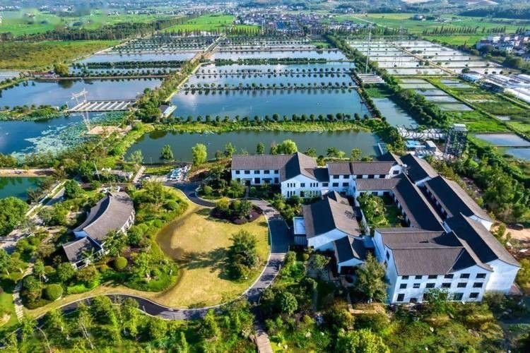 龍和漁業文化園的營業時間是？：尋味衢州——龍和漁業文化園 龍和漁業文化園的營業時間是？：尋味衢州——龍和漁業文化園 龍魚百科 第1張