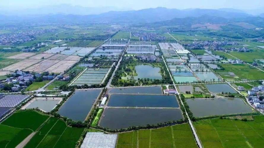龍和漁業文化園的營業時間是？：尋味衢州——龍和漁業文化園 龍和漁業文化園的營業時間是？：尋味衢州——龍和漁業文化園 龍魚百科 第6張