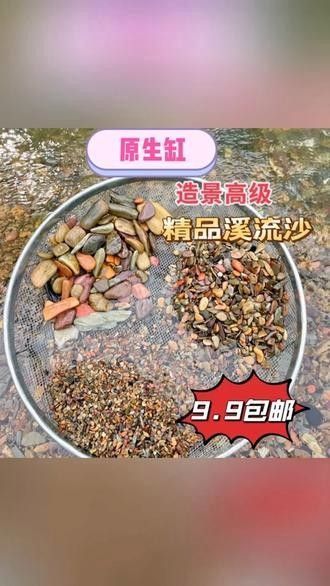 哪種底沙對雷龍魚發(fā)色最有利：雷龍魚發(fā)色期一般多久選適合雷龍魚發(fā)色最有利于發(fā)色 哪種底沙對雷龍魚發(fā)色最有利：雷龍魚發(fā)色期一般多久選適合雷龍魚發(fā)色最有利于發(fā)色 龍魚百科 第7張
