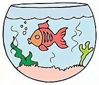 金龍魚不打氧會有什么后果：金龍魚長時間不打氧可能會引發一系列不良后果 金龍魚不打氧會有什么后果：金龍魚長時間不打氧可能會引發一系列不良后果 龍魚百科 第2張