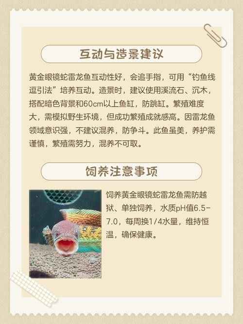 雷龍魚康復后需要如何調養:雷龍魚養殖的四大黃金法則,你get了嗎 龍魚百科 第6張 雷龍魚康復后需要如何調養:雷龍魚養殖的四大黃金法則,你get了嗎 雷龍魚康復后需要如何調養:雷龍魚養殖的四大黃金法則,你get了嗎 龍魚百科 第6張
