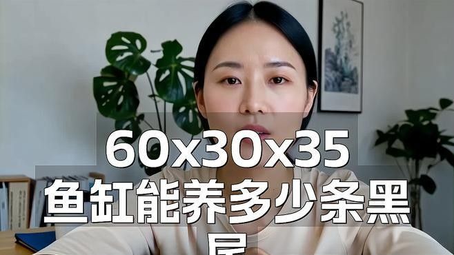 黑尾大鉤魚需要多大的魚缸：尾大鉤魚，也被稱為黑尾金槍魚或黑尾金槍魚或黑尾馬鮫 黑尾大鉤魚需要多大的魚缸：尾大鉤魚，也被稱為黑尾金槍魚或黑尾金槍魚或黑尾馬鮫 龍魚百科 第3張