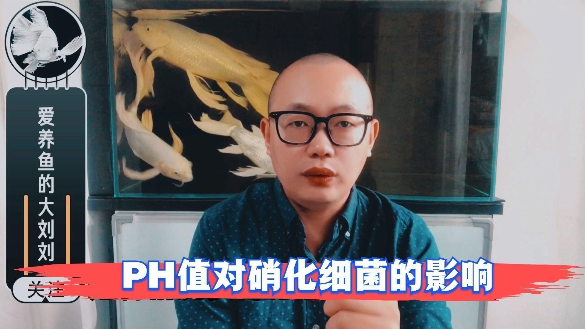 龍魚缸水質(zhì)PH值多少合適：廣州龍魚祥龍魚場如何養(yǎng)好“龍魚”水質(zhì)ph值