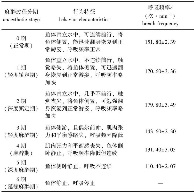 如何調(diào)整MS-222的麻醉劑量：ms-222麻醉劑如何調(diào)整？
