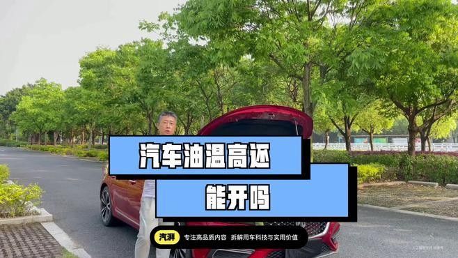 油溫過高會有什么后果？：機油溫度過高有什么危害？ 油溫過高會有什么后果？：機油溫度過高有什么危害？ 龍魚百科 第2張