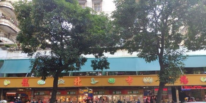龍魚張嘴抽搐可能是哪些原因引起的？（龍魚張嘴抽搐是什么原因引起的？）