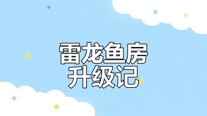 群養雷龍魚需要哪些設備：養雷龍魚需要準備什么設備 群養雷龍魚需要哪些設備：養雷龍魚需要準備什么設備 龍魚百科 第2張