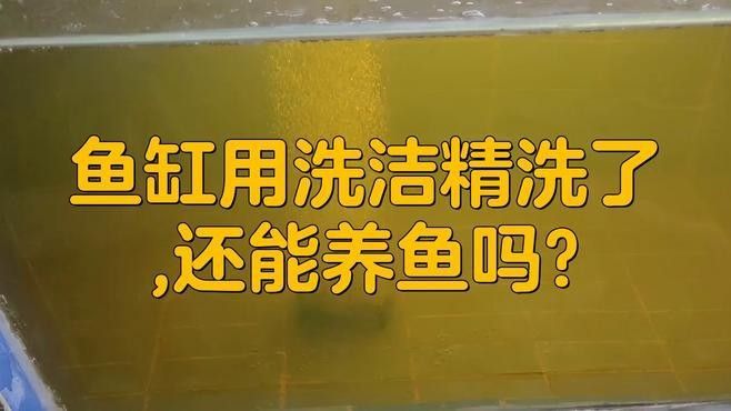 清洗后如何恢復魚缸生態？：清洗后如何恢復魚缸生態