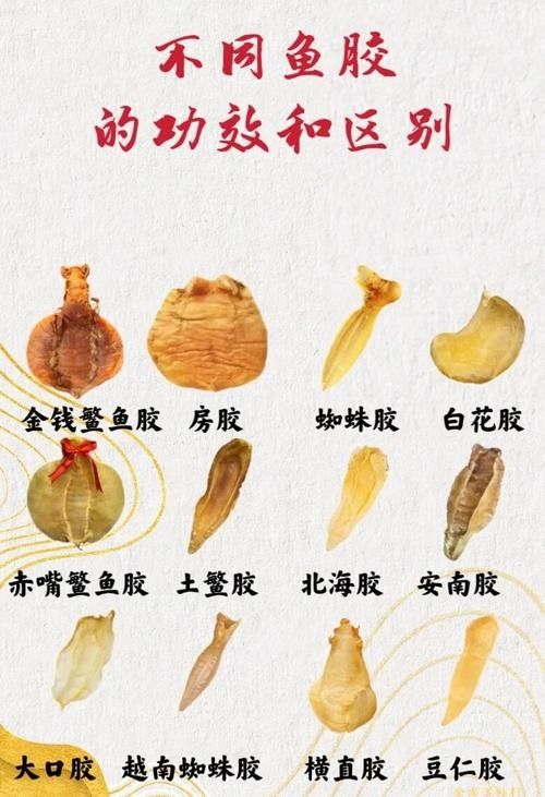 哪個品牌的即食魚膠最好：2025年即食花膠品牌怎么選8款高品質即食魚膠品牌推薦 哪個品牌的即食魚膠最好：2025年即食花膠品牌怎么選8款高品質即食魚膠品牌推薦 龍魚百科 第12張