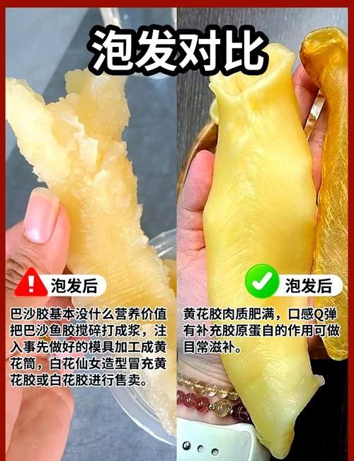 哪個品牌的即食魚膠最好：2025年即食花膠品牌怎么選8款高品質即食魚膠品牌推薦 哪個品牌的即食魚膠最好：2025年即食花膠品牌怎么選8款高品質即食魚膠品牌推薦 龍魚百科 第7張