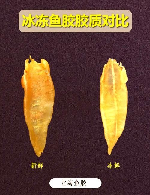 哪個品牌的即食魚膠最好：2025年即食花膠品牌怎么選8款高品質即食魚膠品牌推薦 哪個品牌的即食魚膠最好：2025年即食花膠品牌怎么選8款高品質即食魚膠品牌推薦 龍魚百科 第10張