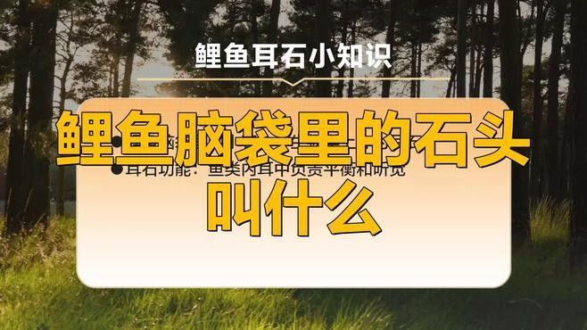 耳石年輪能記錄哪些環(huán)境信息？：關(guān)于耳石年輪的知識 耳石年輪能記錄哪些環(huán)境信息？：關(guān)于耳石年輪的知識 龍魚百科 第1張