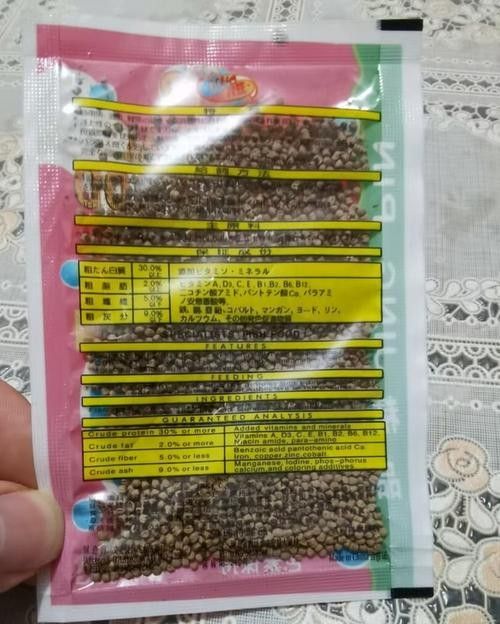 古龍魚飼料過期后還能喂嗎：老釣友私藏的3招變廢為寶，省錢了還爆護仟小魚釣魚
