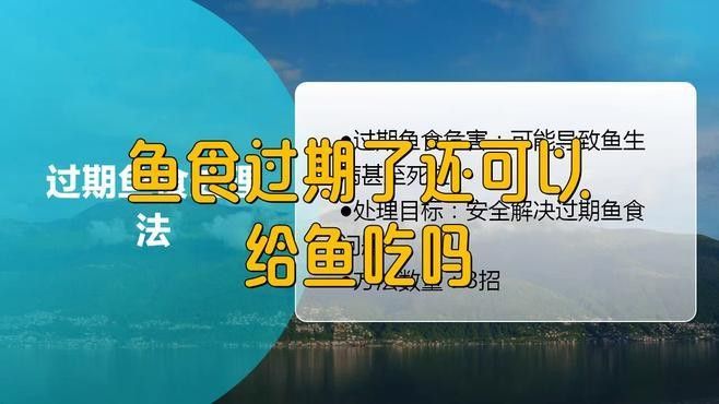 古龍魚飼料過期后還能喂嗎：老釣友私藏的3招變廢為寶，省錢了還爆護仟小魚釣魚