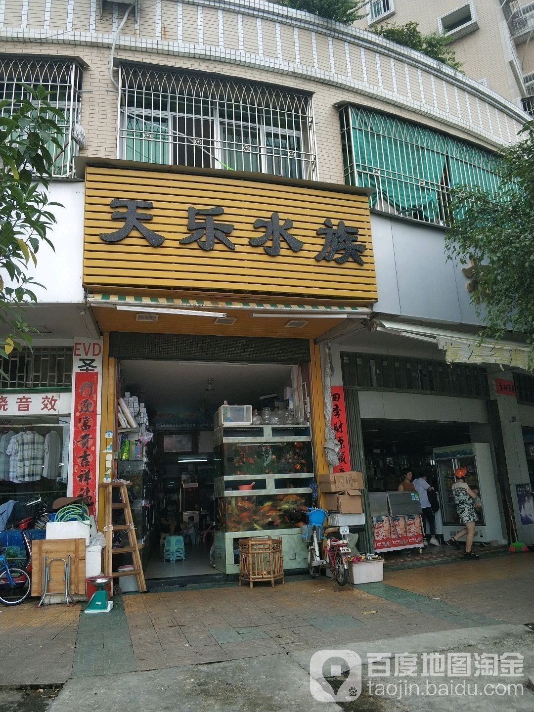 推薦一些潮州的水族店：潮州市值得推薦的幾家水族店，不僅提供多樣化的魚類和水生動物