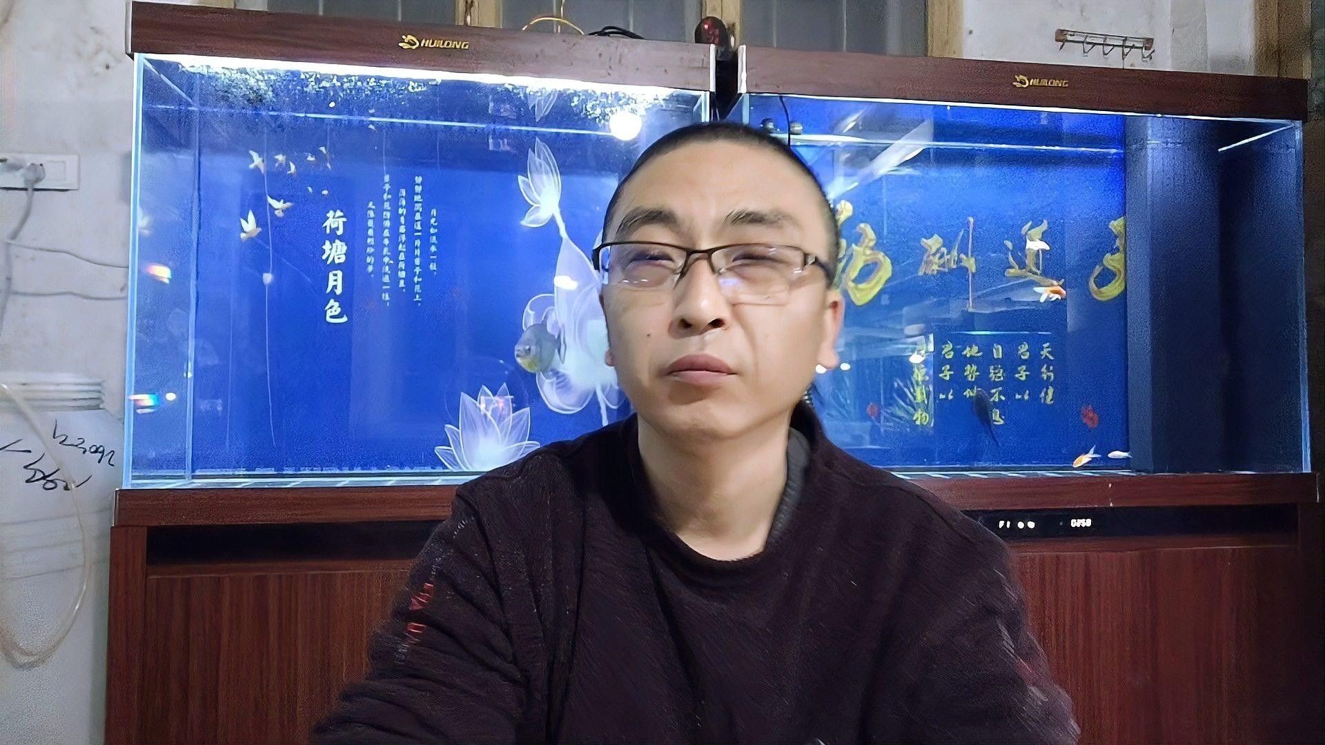 如何預(yù)防草金魚患病？：小魚缸養(yǎng)小金魚注意這幾點就能養(yǎng)好金魚的健康和長壽