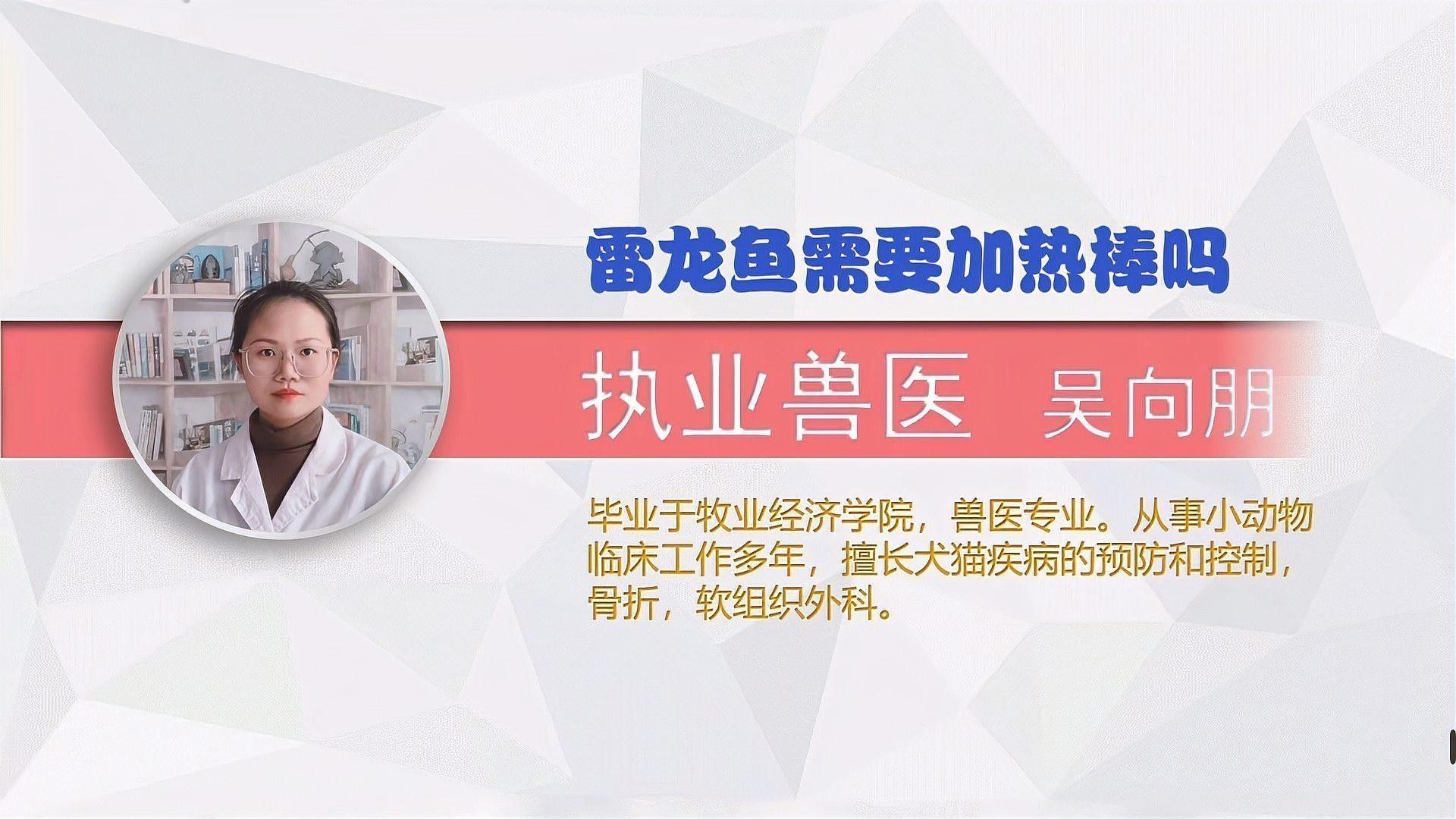 哪些雷龍魚需要加溫：關(guān)于雷龍魚加溫需求的一些信息