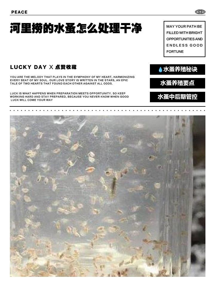 水蚤消毒后需要清洗嗎？：水蚤消毒后多久可以喂魚水蚤消毒后多久可以喂魚