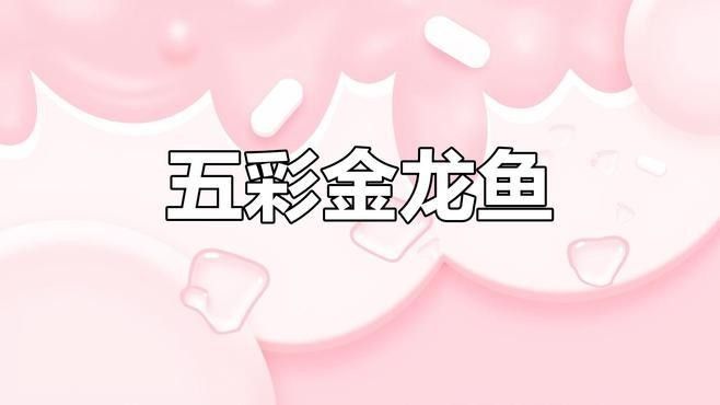 給我推薦一些高清大紅龍魚壁紙：高清大紅龍魚壁紙