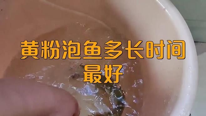 如何給龍魚進行藥浴：thy30種龍魚常見病及治療方法分享thy30種龍魚疾病治療方法大全
