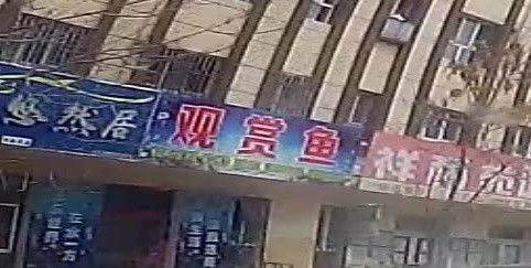 昌吉市萬家金龍觀賞魚店聯系方式：吉市萬家金龍觀賞魚店可以通過以下幾種方式進行聯系