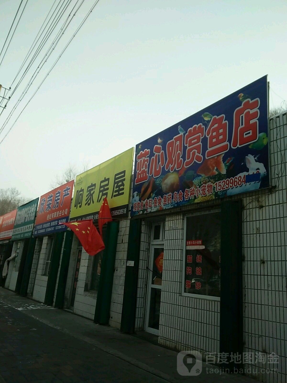 昌吉市萬家金龍觀賞魚店聯系方式：吉市萬家金龍觀賞魚店可以通過以下幾種方式進行聯系