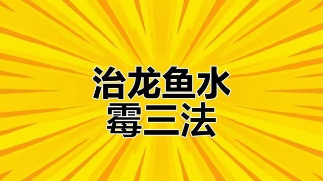 哪種治療方法對龍魚最有效？：龍魚水霉治療三大招,別再亂下藥了!
