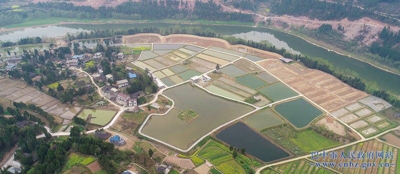 巴中市還有哪些龍魚養殖場？：關于巴中市龍魚養殖場調查報告