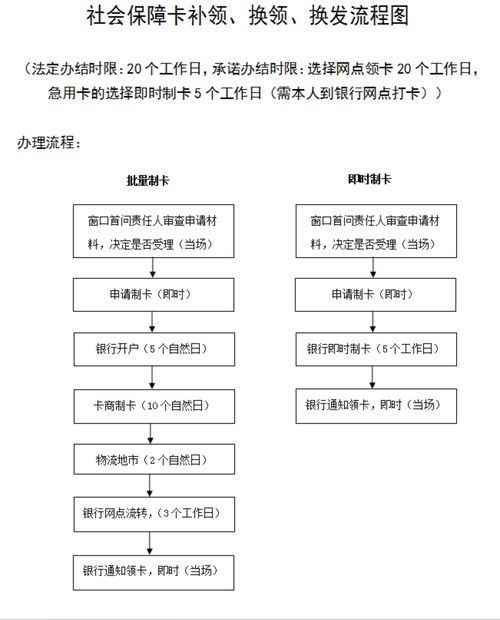 金龍魚白金卡如何申請(qǐng)？：金龍魚白金卡申請(qǐng)流程