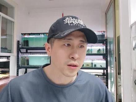 如何訓練夢幻血斑雷龍魚：夢幻血斑雷龍魚怎么訓練夢幻血斑雷龍魚訓練全攻略