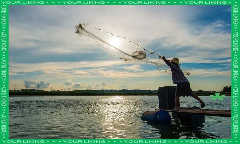 如何預防龍魚頻繁浮頭？：如何防止龍魚頻繁浮頭