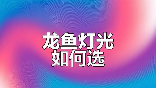 哪種龍魚(yú)燈更適合新手：新手如何選擇合適的龍魚(yú)燈 哪種龍魚(yú)燈更適合新手：新手如何選擇合適的龍魚(yú)燈 龍魚(yú)百科 第2張